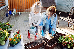 Grandmother with her little granddaughter gardening in a backyard. Family ang different generation. Grandmawith and granddaughter