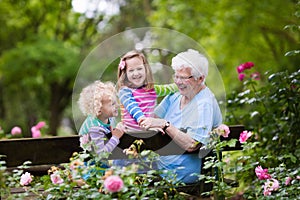 Grandmother and kids sitting in rose garden