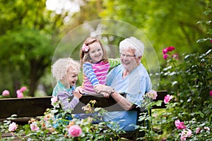 Grandmother and kids sitting in rose garden