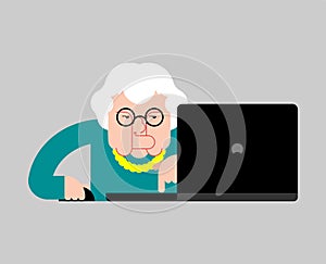 Grandmother laptop working. Old woman and notebook. vector illus