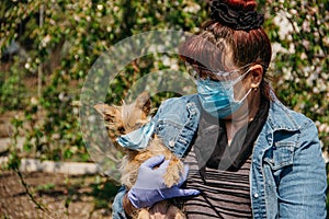 A grandmother in a medical mask puts a mask on her dog against the background of flowering trees. Isolated home during coronavirus