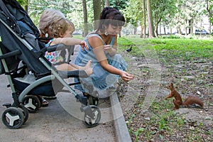 Grandmother, mother and granddaughter in a stroller feeding nuts brown squirrel, family vacation in the summer Park, side view
