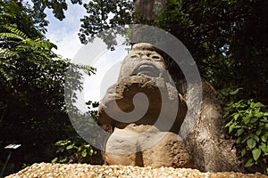 Grandmother rock carving sculpture Olmec,La Venta Park. Villahermosa,Tabasco,Mexico photo