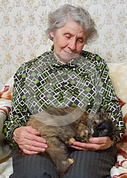 Grandmother sitting with cat on her hands