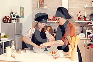 Grandmother wearing apron on christmas day