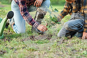 Grandpa with grandson planting oak sapling into the ground among other trees in the forest. Save the nature concept.