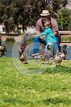 Grandpa helps happy little girl feed ducks at lake