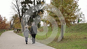 Grandpa and his grandson spend time together in the park. They are Walking in the park and rejoicing