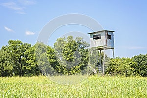Grandpa's Tree Stand