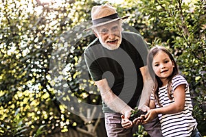 Grandparent with grandchild working in summer garden