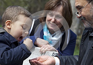 Grandparents feeding child park