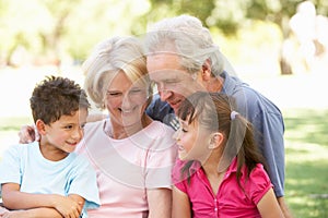 Grandparents And Grandchildren Enjoying The Day photo