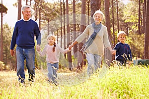 Grandparents and grandchildren walking in the countryside photo