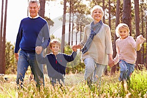 Grandparents and grandchildren walking in the countryside