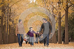 Grandparents and granddaughter holding hands and walking in the park in the fall