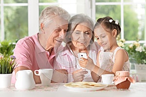 Grandparents with granddaughter using smartphone