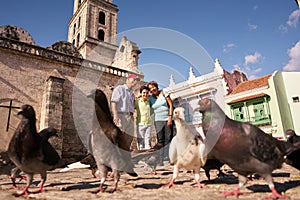 Grandparents And Grandson Feeding Pigeons On Vacations In Cuba