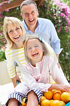 Grandparents Pushing Granddaughter In Wheelbarrow