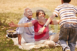 Grandparents Senior Couple Hugging Young Boy At Picnic photo