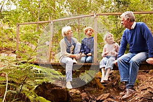 Grandparents sitting with grandkids on a bridge in a forest