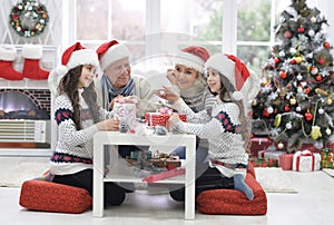 Grandparents with twin girls preparing for Christmas