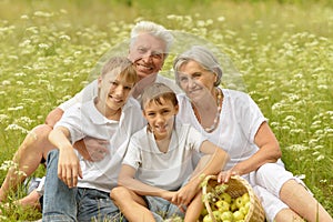 Grandparents with two boys on grass