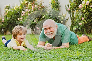 Grandson embrace his grandfather. Happy family father and child on meadow with a kite in the summer on green grass. Cute