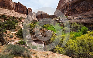 Grandstaff Hiking formerly Negro Bill Canyon Trail