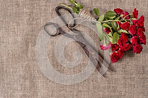 Grange photo of Bouquet of Red Roses and Old Rusty Scissors