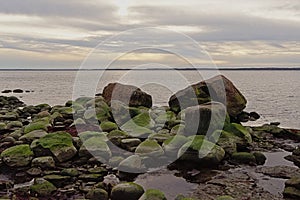 Granit boulders on the Baltic sea coast of Pakri, Paldiski, Estonia