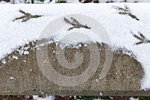 Granit with footprints from a bird in snow