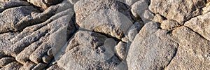 Granit stone with lichen, background