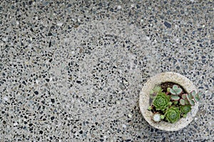 Granite backgound with pot in corner.