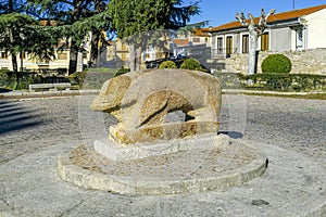 Granite boar in Ciudad Rodrigo Salamanca Spain photo
