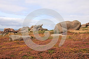 Granite boulder and colorful wildflowers in Brittany