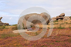 Granite boulder and wildflowers in Brittany