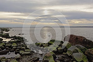 Granite boulders on the Baltic sea shore of Pakri, Paldiski, Estonia