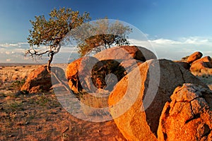 Granite boulders, Brandberg mountain, Namibia