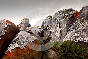 Granite boulders covered with moss