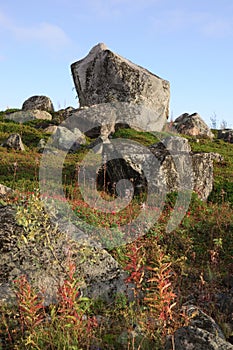 Granite boulders on the hills of the Kola Peninsula, Russia