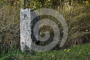 Granite boundary stone in the forest