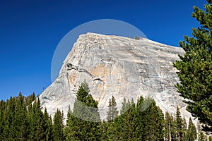 Granite cliff and Pine Forest on a Cloudless Blue Sky