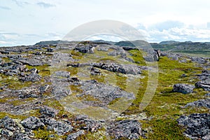 Granite exposures on a hill slope. Kola Peninsula