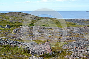 Granite exposures in the tundra on the bank of the Barents Sea.