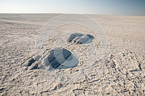 Granite extrusions inside Makgadikgadi Salt Pan. photo