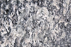 Granite like metamorphic rock seen in detail