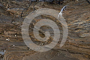Granite masonry background photo