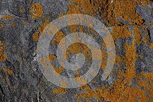 Granite masonry background photo