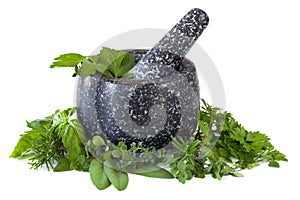 Granite Mortar and Pestle with Herbs