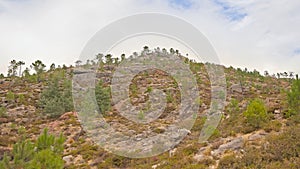 Granite mountain peak with pine trees undr a cloudy sky in the Portuguese countrysidee